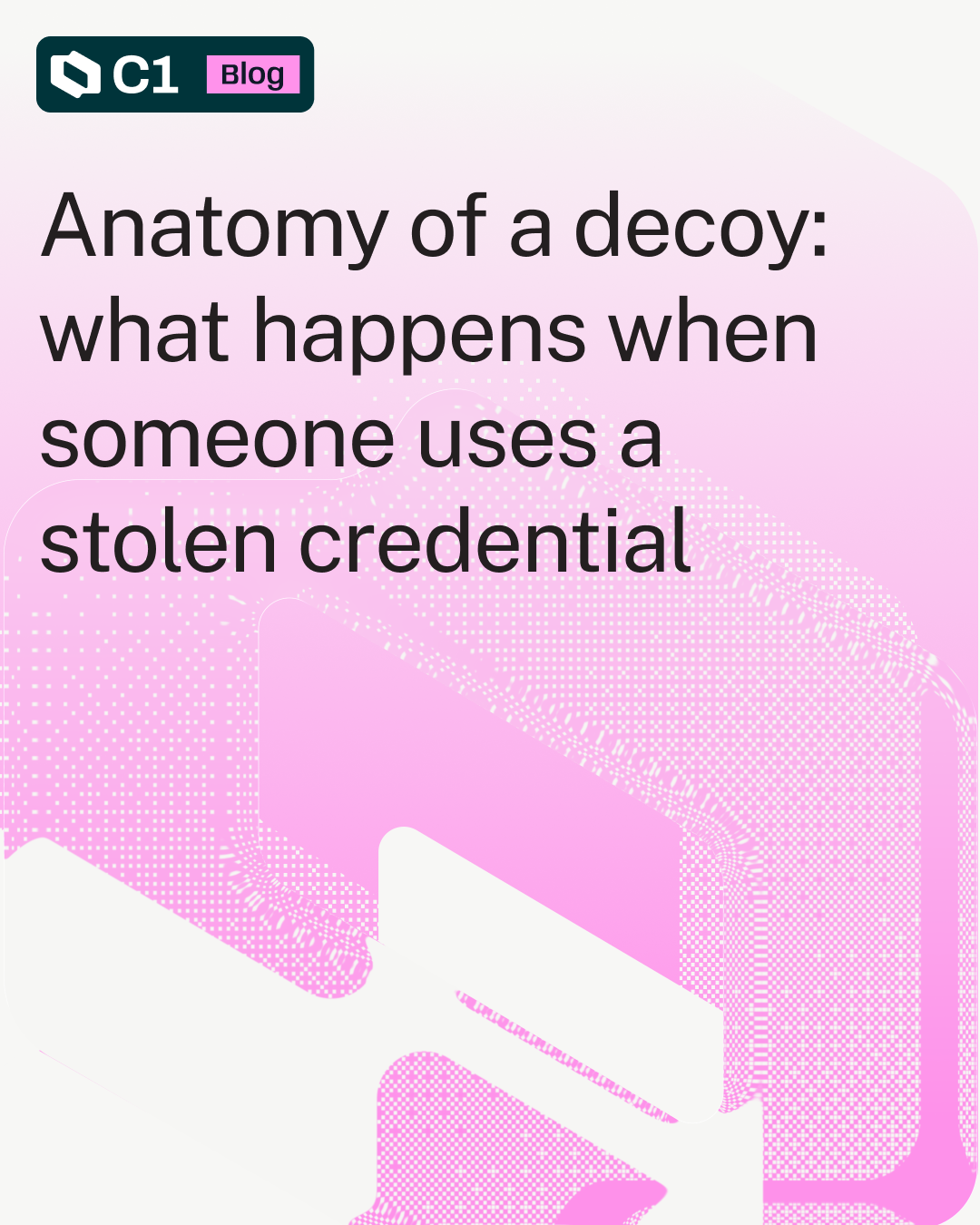 Anatomy of a Decoy